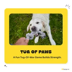 A fun game of tug-of-war, or 'Tug of Paws', is a great way to build strength and bond with your dog. We have a variety of durable rope toys perfect for the job.