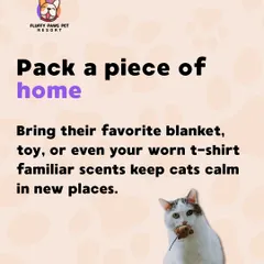 A simple but effective tip: pack a piece of home. A favorite blanket or a worn t-shirt with your scent can provide immense comfort to your cat in a new environment.