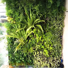 A close-up view of a lush vertical garden on a balcony. I use a mix of ferns, money plants, and other species to create a dense, jungle-like feel, even in a small space.