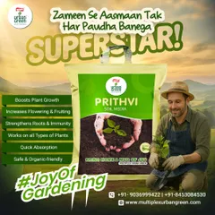 Our Prithvi Soil Media is the heart of a happy garden. This ready-to-use, organic-certified mix is scientifically formulated to boost plant growth, strengthen roots, and increase flowering, making it the perfect foundation for every plant to become a superstar.