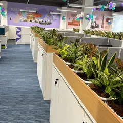 This long shot shows how our planter installations integrate seamlessly along the line of office cubicles, adding greenery without taking up valuable floor space.