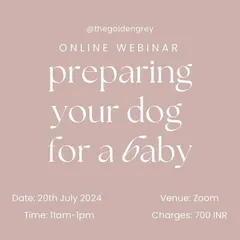 This is an advertisement for a past webinar. I regularly host these sessions online via Zoom, making it accessible for parents everywhere to get the information they need to create a safe and happy home for their dogs and babies.