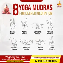 A guide to eight yoga mudras for deeper meditation, including Shuni Mudra, Apana Mudra, and Gyan Mudra to balance energy and enhance focus.