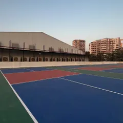 A clear daytime view of the multiple courts at my Vile Parle facility. You can see the clean lines and high-quality surface that ensures a great game every time.