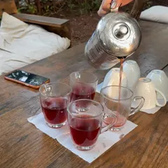 Pouring herbal tea, a simple ritual that we practice throughout the day to stay hydrated and calm. The teas are often made with fresh herbs from the farm.