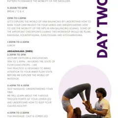 Our workshop schedules are thoughtfully designed to build a complete practice. Day two of this immersion focused on the "Symphony of the Shoulders," exploring wrist mobility, arm balancing, and even Thai massage techniques for recovery.