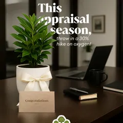 This appraisal season, I help companies give a raise that truly matters. A gift of a plant is a gift of fresh air and a calmer workspace, showing your team you care about their well being as much as their work.