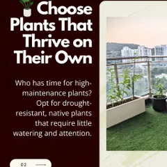 To ensure your garden is a source of joy, not stress, I recommend choosing low-maintenance plants. Opting for drought-resistant or native species means less time watering and more time simply enjoying your green space.