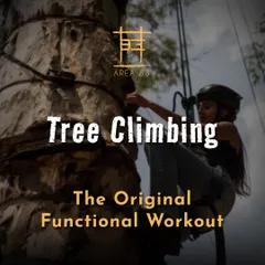 Tree climbing is the original functional workout. It's a full-body challenge that tests your strength and flexibility as you find your way to the top, all while safely harnessed.