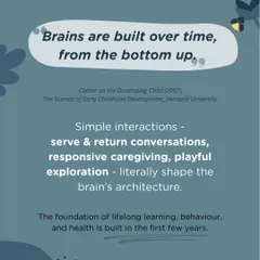 As Harvard University's research shows, brains are built from the bottom up. Simple serve-and-return interactions, responsive caregiving, and playful exploration are not just moments of connection; they are literally shaping a child's brain architecture for life.