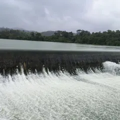 Water gushing over a check dam near the Sharavathi Valley, showcasing the sheer volume of water during the peak monsoon season.