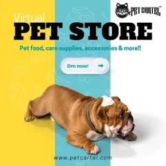 Welcome to our virtual pet store! Here you can find pet food, care supplies, accessories, and more. Just send us a message or order online for quick delivery.