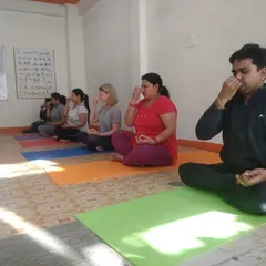 Another view of our pranayama session, where each student is focused on their breath. In my group classes, we create a collective energy of peace and concentration that helps deepen everyone's individual practice.