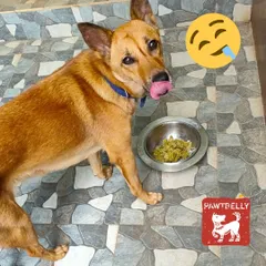The look of a truly satisfied customer. That lip-licking moment after a delicious and nutritious meal is what we strive for with every bowl we prepare.