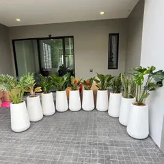 For a clean and uniform look, we offer sets of matching planters. This row of sleek, modern white pots is perfect for creating a cohesive and sophisticated display on a patio or in a large room.