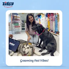The vibes at our Grooming Fest are always immaculate. Here, two beautiful dogs and their parent enjoy the lively atmosphere of our store during the event.