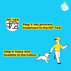 We believe every pet deserves special treatment. In our pet taxi, your loved one will travel in comfort, ready to arrive at their destination to enjoy and play to the fullest.