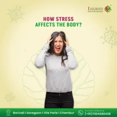 The pressures of modern life manifest physically and mentally, a fact Ayurveda has understood for centuries. We see stress not as a surface-level issue but as a deep-seated imbalance that affects every system in the body. Our approach is to identify how stress is impacting you and systematically work to restore your natural equilibrium.