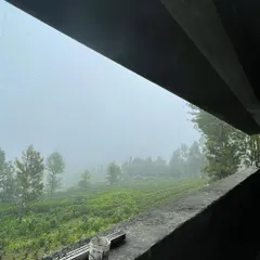 A view from our 'Panorama' project in Ooty, where the architecture is designed to frame the natural landscape. We create spaces that connect guests with their environment, making the view an integral part of the interior experience.