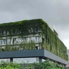 The wild has truly taken over the facade of this tech office. This is the result of a design that plans for nature to become a primary architectural material over time.