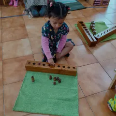 Working with the knobbed cylinders, this child is learning to distinguish between different dimensions. This sensorial activity prepares the mind for mathematical concepts of size, order, and sequence.