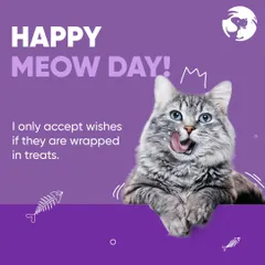 Happy Meow Day. This kitty knows that the best way to celebrate is with delicious treats. I have a great selection for my feline friends, including favorites from Whiskas and Bellota.
