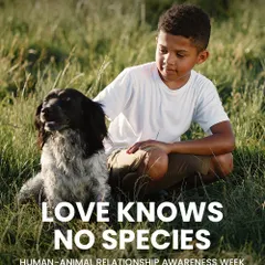 Love knows no species. This week, we celebrate the human-animal relationship and the unconditional love our pets bring into our lives. These bonds are truly special and deserve to be cherished.
