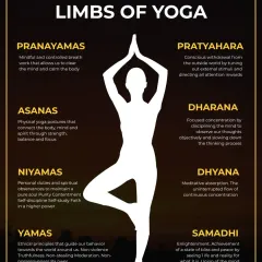 An infographic explaining the 8 Limbs of Yoga, from the ethical principles of Yamas and Niyamas to the ultimate goal of Samadhi (enlightenment).