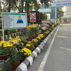 Our team executing a large-scale planting project for a corporate campus. We use potted seasonal flowers like these yellow chrysanthemums to create beautiful, welcoming borders along pathways and entrances.