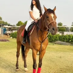 A happy rider on a happy horse. This photo captures the partnership and poise that develops with practice and dedication.