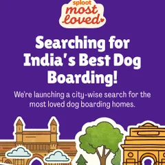 We're on a mission to find India's best dog boarding homes, powered by you. This graphic announces our city-wise search for the most loved and trusted places, because your experience is the most reliable review.