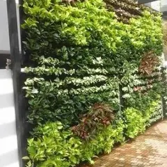 A large scale vertical garden installation, perfect for commercial spaces or large residential properties. The wall features a variety of textures and shades of green, creating a massive, impactful green space.
