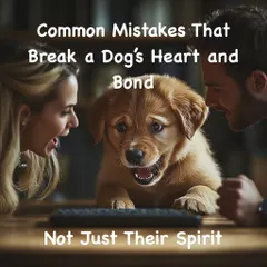 Yelling, inconsistent rules, and a lack of understanding can break a dog's spirit and the bond you share. I work with families to bridge this communication gap, fostering a relationship built on trust and mutual respect, not fear.
