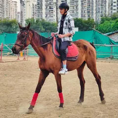 A young rider maintains excellent posture while riding in the arena. Our training emphasizes correct form for effective and safe riding.