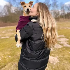 A kiss for a brave traveler. BoPeep gets a loving smooch from her mom after settling into her new life in Belgium. From the streets of India to a loving home, her story is one of hope and happiness.