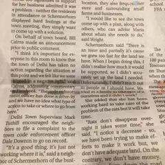 More from the newspaper article. I admitted the issues and our lack of funds, being transparent about the fact that we were working hard but didn't have all the answers.