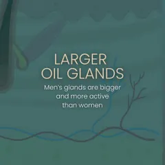 Men's oil glands are not only more active, but they are also larger than women's. This anatomical difference contributes to higher sebum production and a greater likelihood of developing acne.