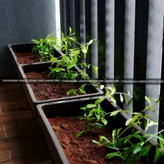 Simple, modern rectangular planters are perfect for a balcony or narrow space, bringing a line of green to an urban environment.