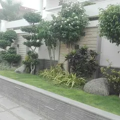 A residential project where we used a mix of topiary trees, flowering shrubs, and a well-maintained lawn. This kind of softscaping adds structure and beauty to the property boundary.