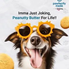 Peanut butter for life! Our Chicken Peanut Butter biscuits are a crunchy, protein-packed snack that will have your doggo smiling from ear to ear.