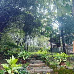 Stone steps leading through the garden at our retreat. Nature here is not just a backdrop but an active participant in our spiritual journey, offering its own silent teachings.