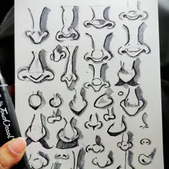 Day 4 was all about noses. Sketching them from different angles and with different shapes helps me understand their structure.