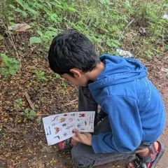 A young naturalist carefully studies his surroundings, checklist in hand, during a minibeast hunt. These walks are designed to encourage focus and a keen eye for the small details of the natural world.