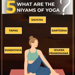 What are the 5 Niyams of Yoga? This graphic breaks down the five personal observances: Saucha (purity), Santosha (contentment), Tapas (self-discipline), Svadhyaya (self-study), and Isvara Pranidhana (surrender).
