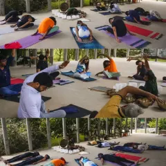 This collage shows different moments from a single transformative sound bath in nature. You can see participants engaging in gentle stretches before settling into deep relaxation, showcasing the holistic flow of our sessions.