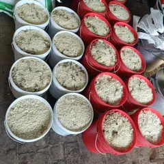 This is what it takes to feed hundreds of animals every single day. Our community kitchen prepares massive quantities of fresh food, packed into buckets and ready for our feeding routes. This isn't just charity; it's a large-scale daily operation to fight hunger on the streets.