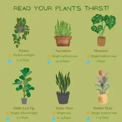 Understanding how much water each plant needs is key to a healthy garden. This guide shows the specific watering schedules for popular houseplants like Monsteras and Snake Plants, a core part of our smart watering service.