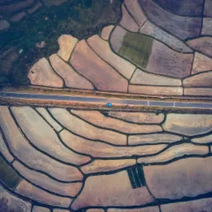 An aerial top-down view of a paddy field in Sringeri, Chikmagalur. The geometric patterns of the fields and the road cutting through create a beautiful composition.
