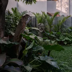 A glimpse of the garden at Pràna, a tranquil oasis in the middle of Bangalore. The landscaping was as important as the interior design in creating the home's overall feel.