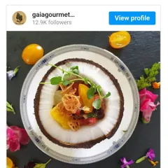 A screenshot of our Instagram profile featured in an article. This beautiful dish, a deconstructed coconut ceviche, is a great example of the creative, gourmet food that has earned us this recognition.